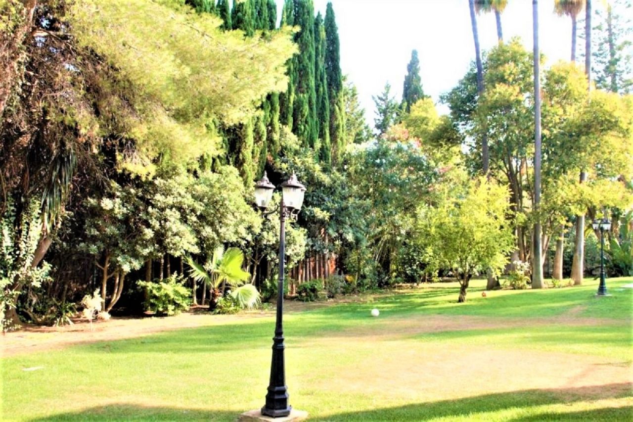 Luxury Villa in Guadalmina Baja